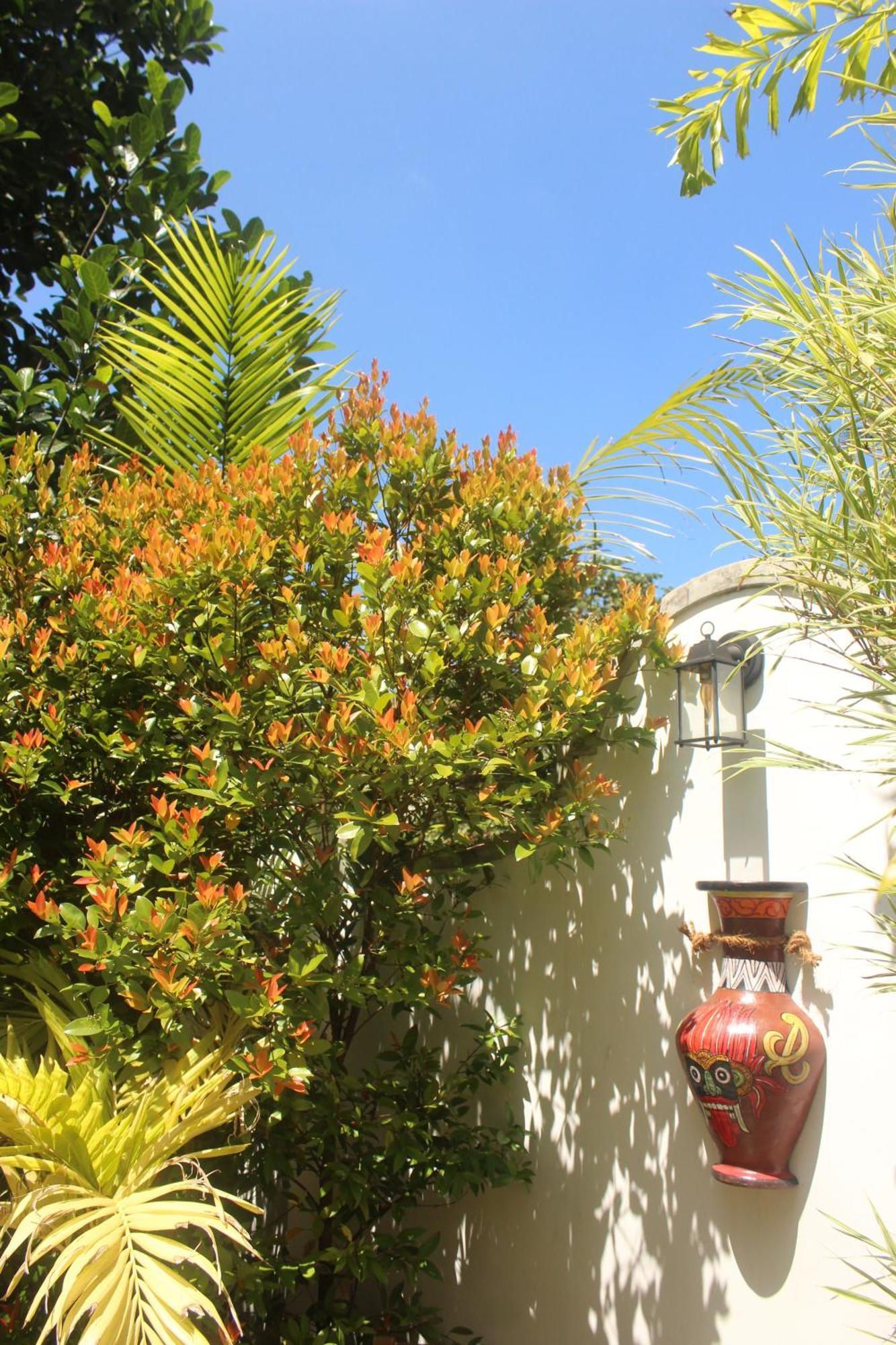 Villa Olde Ceylon 康提 外观 照片
