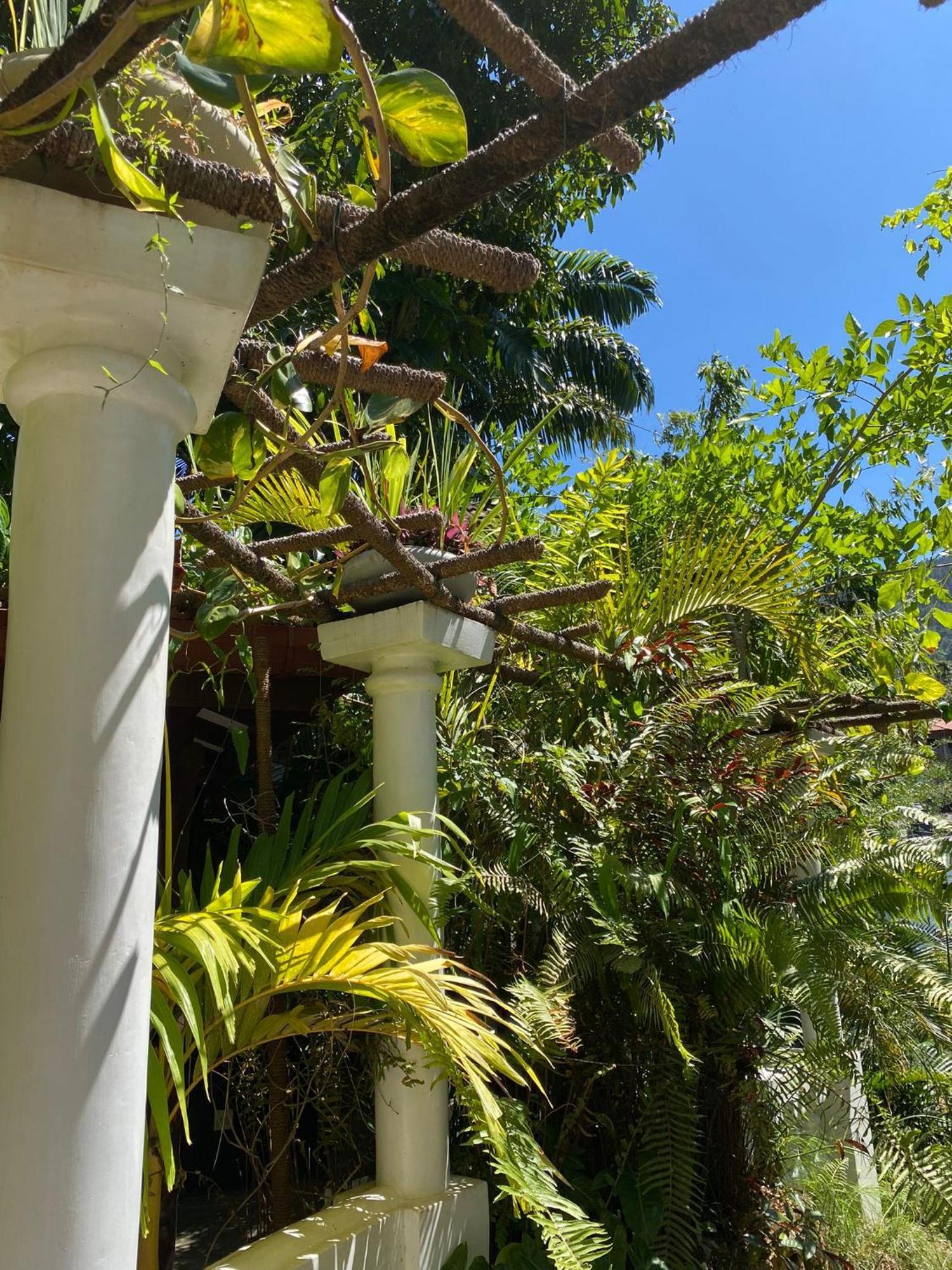 Villa Olde Ceylon 康提 外观 照片